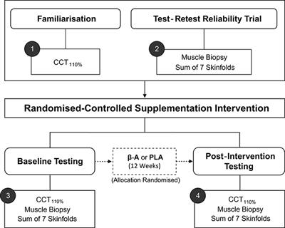 A Statistical Framework to Interpret Individual Response to Intervention: Paving the Way for Personalized Nutrition and Exercise Prescription